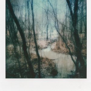 "Reality," a professional artistic polaroid print by Scott Asano.