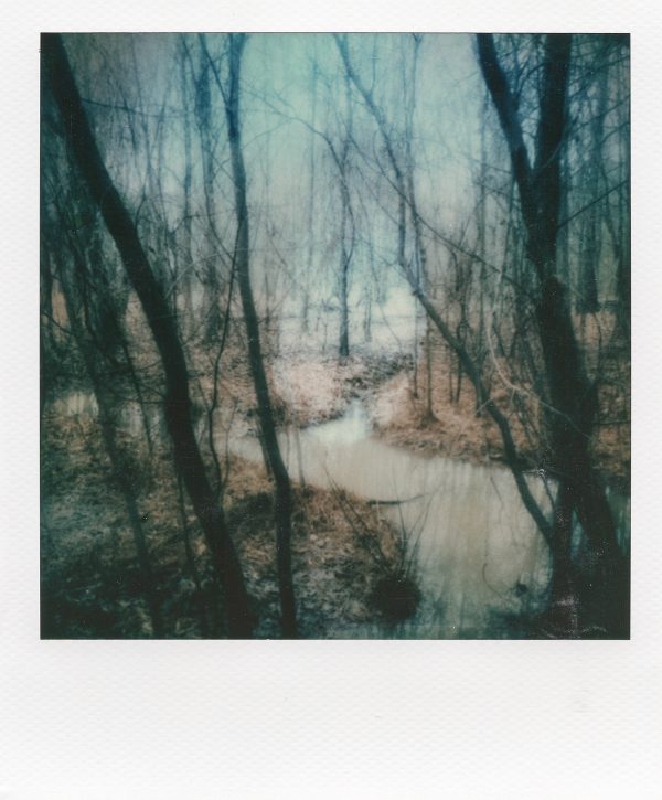 "Reality," a professional artistic polaroid print by Scott Asano.