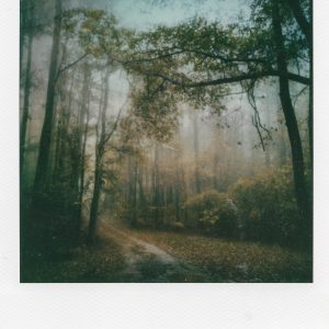 "Divine Things," a professional artistic polaroid print by Scott Asano Photography.