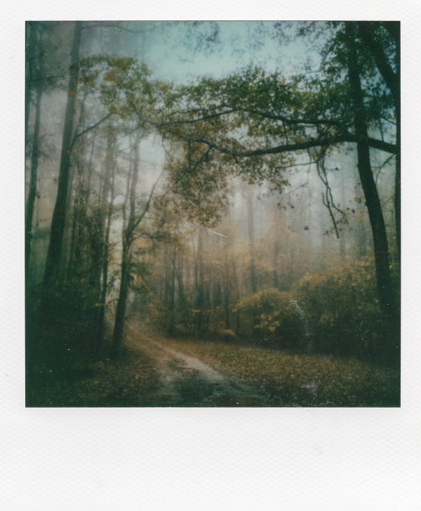 "Divine Things," a professional artistic polaroid print by Scott Asano Photography.