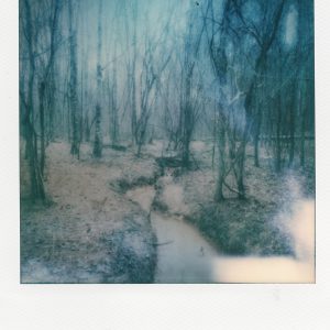 "Ordered," an artistic polaroid print on archival matte paper by Scott Asano Photography.